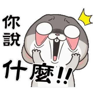 😩 你說什麼!! cartoon, expression, animal, hamster, exclamation telegram sticker