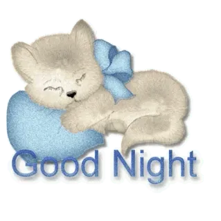 😴 Good Night แมว, นอน, น่ารัก, ลูกแมว, ราตรีสวัสดิ์, หมอน telegram sticker