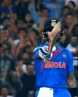 🦁 INDIA Cricket, Sport, Indien, Athlet, Sieg, Team telegram sticker