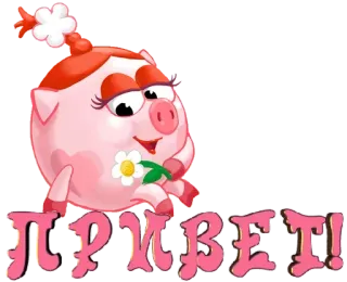 👋 ПРИВЕТ! pig, flower, cartoon, greeting telegram sticker
