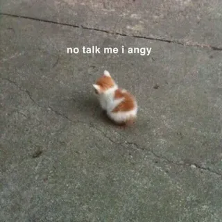 🤬 no talk me i angy mèo, tức giận, meme, mèo con, vui nhộn, dễ thương, động vật telegram sticker