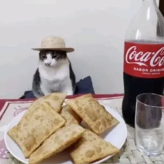 😎 Coca-Cola Sabor Original cat, pastry, hat, coca-cola, food, drink, animal whatsapp sticker