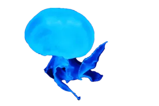 🌌 meduza, stworzenie morskie, niebieski, ocean, życie morskie telegram sticker