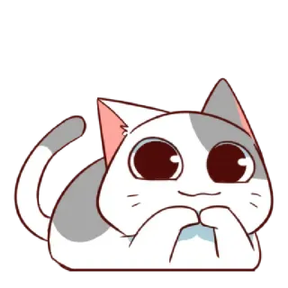 🙂 cat, cute, animal, kawaii telegram sticker