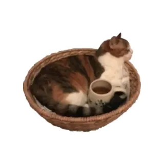 прекрасная пора @stickeerrsss telegram stickers