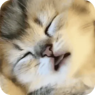 😴 telegram sticker