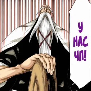 🔊 У НАС ЧП! anime, Bleach, citazione, russo telegram sticker