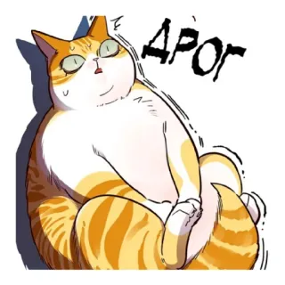 😱 Дрог Katze, Cartoon, Tier, Haustier, Russisch telegram sticker
