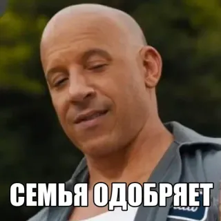 👍 СЕМЬЯ ОДОБРЯЕТ familia, vin diesel, aprobación, meme, película telegram sticker