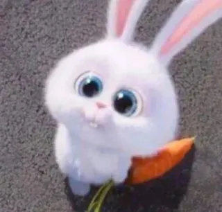 🥺 Snowball The Secret Life of Pets coelho, cenoura, fofo, fofinho, coelhinho, desenho animado, animal de estimação whatsapp sticker