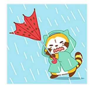 🌨 procione, ombrello, pioggia, cartone animato, animale, meteo, carino telegram sticker