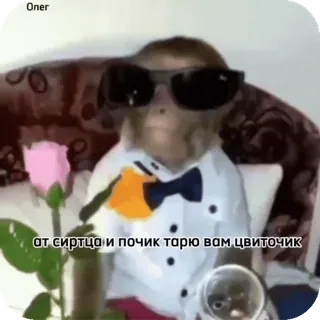 🌟 от сиртца и почиктарию вам цвиточик monkey, rose, sunglasses, animal, meme telegram sticker