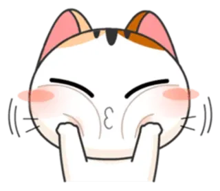 😚 chat, mignon, emoji, autocollant, animal, dessin animé whatsapp sticker