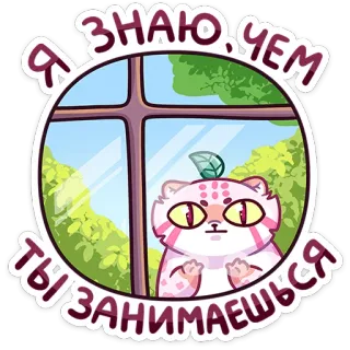 ☺️ Я знаю, чем ты занимаешься kot, okno, patrząc, podglądanie, rosyjski, tekst whatsapp sticker