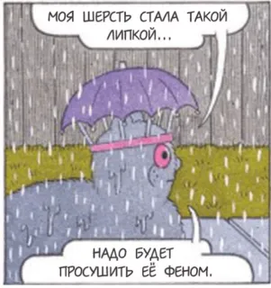 😏 МОЯ ШЕРСТЬ СТАЛА ТАКОЙ ЛИПКОЙ…
НАДО БУДЕТ ПРОСУШИТЬ ЕЁ ФЕНОМ. hujan, basah, komik, bahasa Rusia, kartun, payung whatsapp sticker