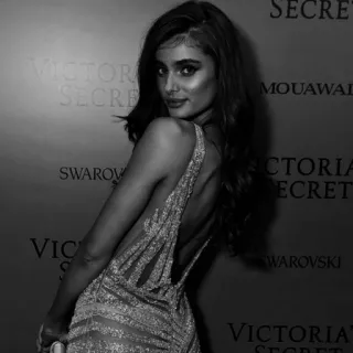 🍸 modelo, mujer, vestido, moda, belleza, blanco y negro, estilo, retrato telegram sticker