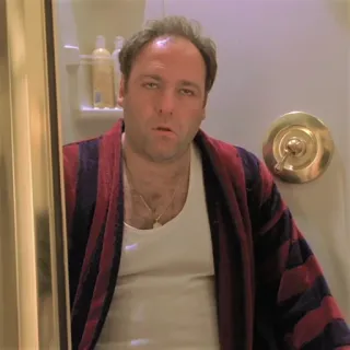 🥴 Tony Soprano The Sopranos ทีวี, ซีรีส์, มาเฟีย, อาชญากรรม, ดราม่า telegram sticker