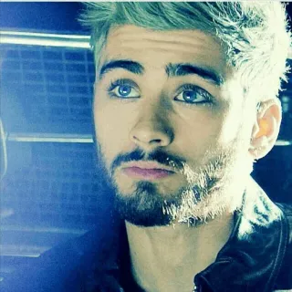 🙄 Zayn Malik ミュージシャン, 歌手, ポップスター, セレブ, ゼイン・マリク telegram sticker