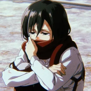 😐 Mikasa Ackerman Attack on Titan Anime, Manga, Weinen, Attack on Titan, Mikasa, Ackerman whatsapp sticker