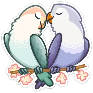 Неразлучники whatsapp stickers