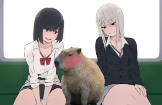☺️ Anime, Filles, Capybara, Mignon, Animal telegram sticker