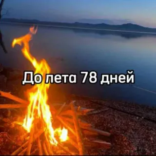 ☀️ До лета 78 дней fuego, verano, cuenta atrás, vacaciones, lago, naturaleza, días telegram sticker