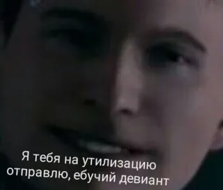 🌟 Я тебя на утилизацию отправлю, ебучий девиант telegram sticker