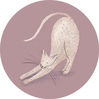 😏 cat, stretching, animal, pet, cute, illustration, drawing, kitty whatsapp sticker