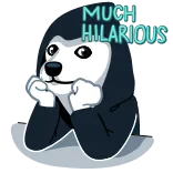 🙄 MUCH HILARIOUS doge, meme, dog, funny, hilarious, humor telegram sticker