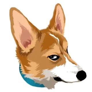 🐶 chó, corgi, động vật, thú cưng, dễ thương, chó con, vật nuôi telegram sticker