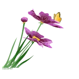 🌷 fiore, viola, iris, farfalla, natura, pianta, primavera whatsapp sticker