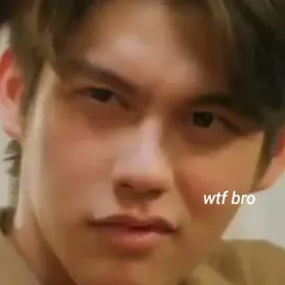 🤨 wtf bro Meme, WTF, Rosto, Expressão telegram sticker