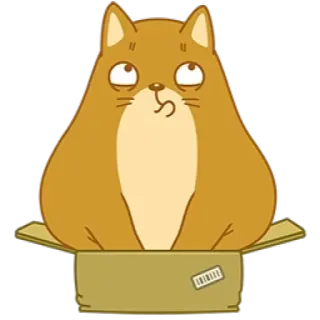 📦 gatto, scatola, animale, carino, animale domestico telegram sticker