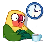 🙄 burung, jam, kopi, waktu, menunggu, santai telegram sticker