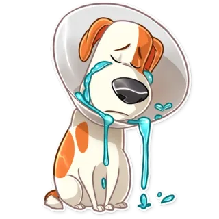 😭 หมา, ลำโพงกันเลีย, เศร้า, ร้องไห้, สัตว์เลี้ยง, สัตว์, การ์ตูน telegram sticker