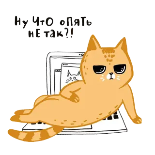 😏 Ну что опять не так?! gatto, adesivo, cartone animato, animale, computer, laptop, carino telegram sticker