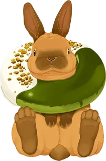 🐰 Hase, Donut, Tier, Essen, Süß, Dessert, Süßigkeit whatsapp sticker