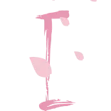 🌸