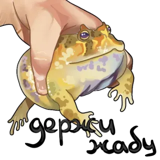 🤲 yepdisu maj frog, animal, hand, pet, cute, toad telegram sticker