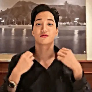 🕊 Kai männlich, Porträt, K-Pop, koreanisch, Sänger, Idol telegram sticker