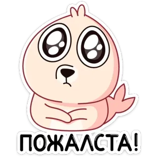 🥺 ПОЖАЛСТА! słodki, zwierzę, błagalny, żebrzący, foka, kreskówka telegram sticker