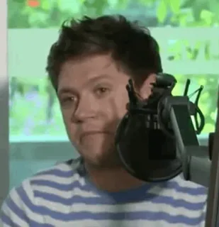 🎸 Niall Horan Niall Horan, One Direction, cantor, celebridade, músico, homem telegram sticker