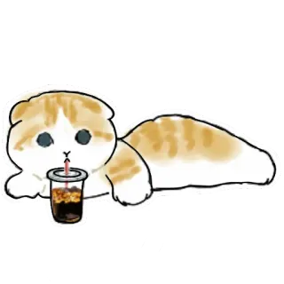 🥤 gato, bebida, lindo, pegatina, mascota, animal, dibujo animado whatsapp sticker