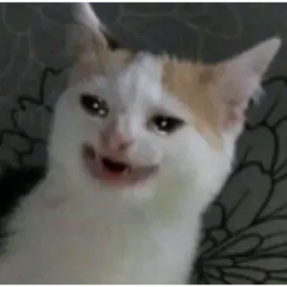 🤡 кот, плачущий, мем, грустный, животное telegram sticker