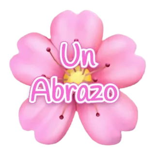 🤗 Un Abrazo Blume, Umarmung, Rosa, Blumenmuster, Gruß, Blüte, Spanisch telegram sticker