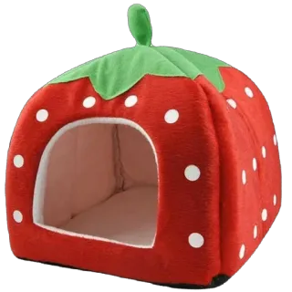 🫥 strawberry, pet bed, cat bed, dog bed, animal bed, red, green telegram sticker