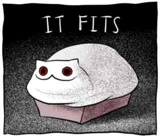 ✨ IT FITS 猫, 食パン, 面白い, 可愛い, ミーム, 動物, 箱 telegram sticker