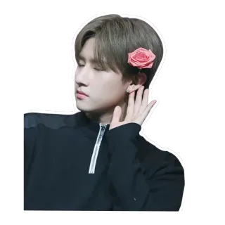 👂 คน, ดอกไม้, ดอกกุหลาบ, kpop, ผู้ชาย telegram sticker