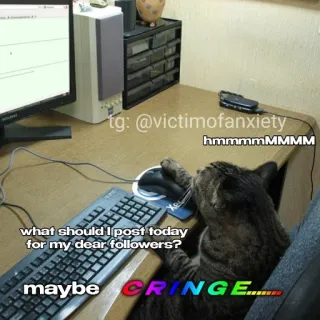 🙂 tg: @victimofanxiety
hmmmmMMMM
what should I post today
for my dear followers?
maybe CRINGE...... แมว, มีม, อินเทอร์เน็ต, ตลก, น่าอาย, โซเชียลมีเดีย, ผู้ติดตาม telegram sticker