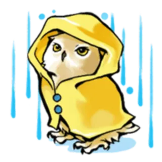 🌧 owl, raincoat, cute, animal, rain, yellow, cartoon telegram sticker